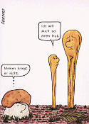 Ansichtskarte