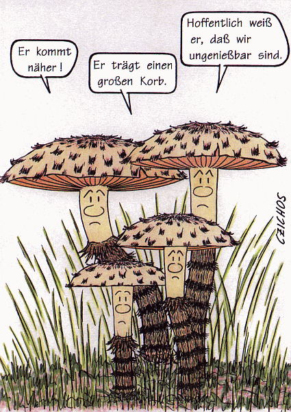 Ansichtskarte