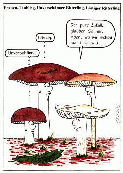 Ansichtskarte