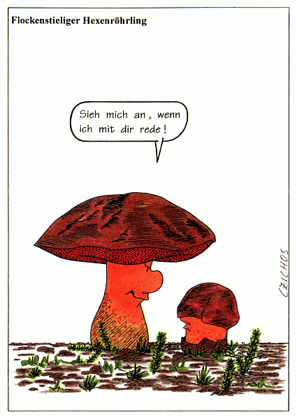 Ansichtskarte