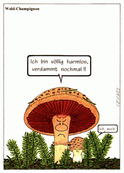 Ansichtskarte