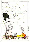 Ansichtskarte