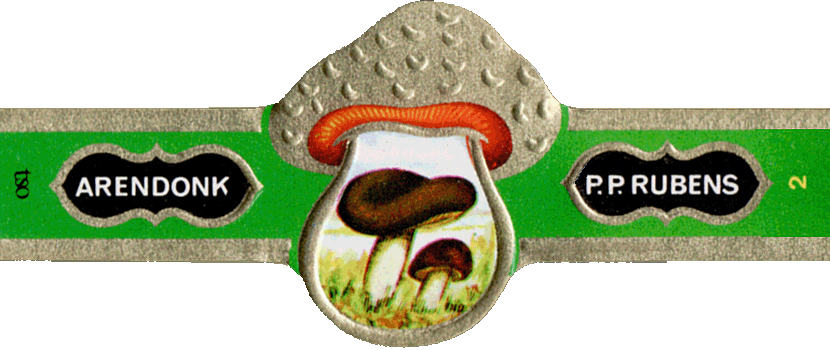Bauchbinde