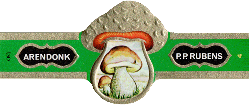 Bauchbinde