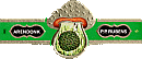 Bauchbinde