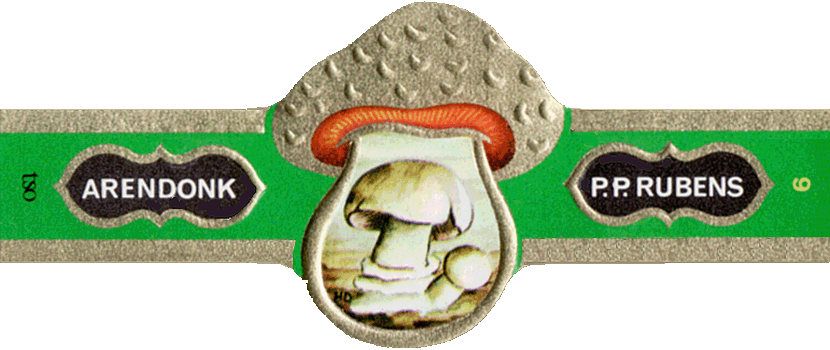 Bauchbinde