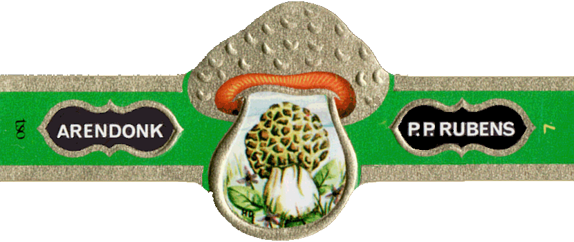 Bauchbinde