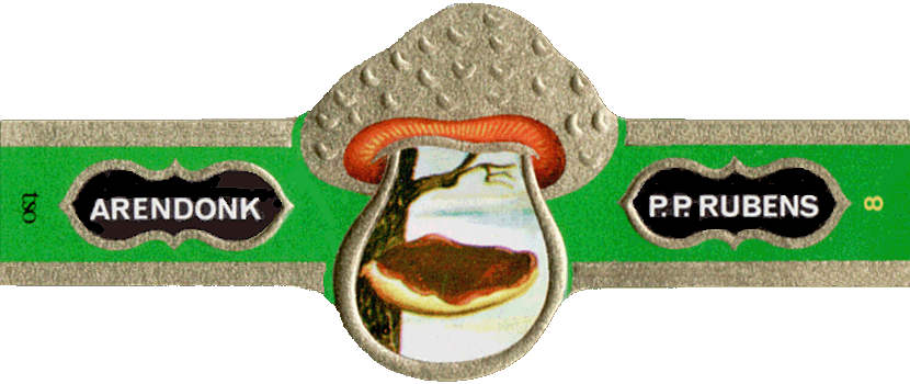 Bauchbinde