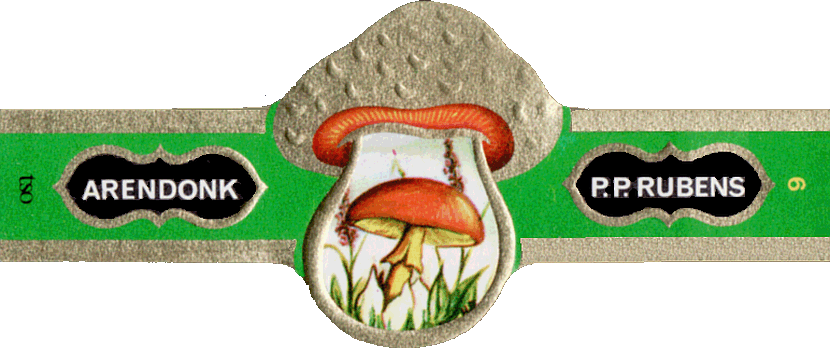 Bauchbinde