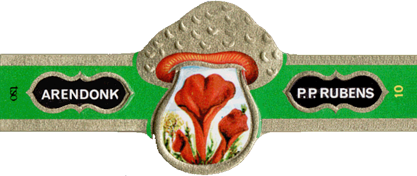 Bauchbinde