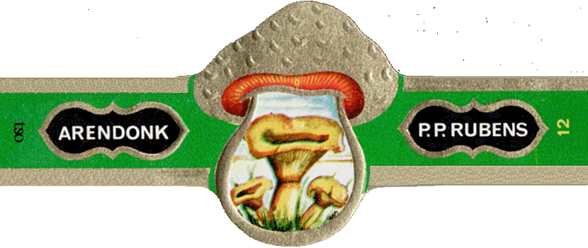 Bauchbinde