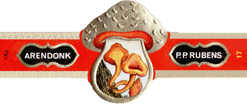 Bauchbinde