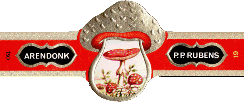 Bauchbinde