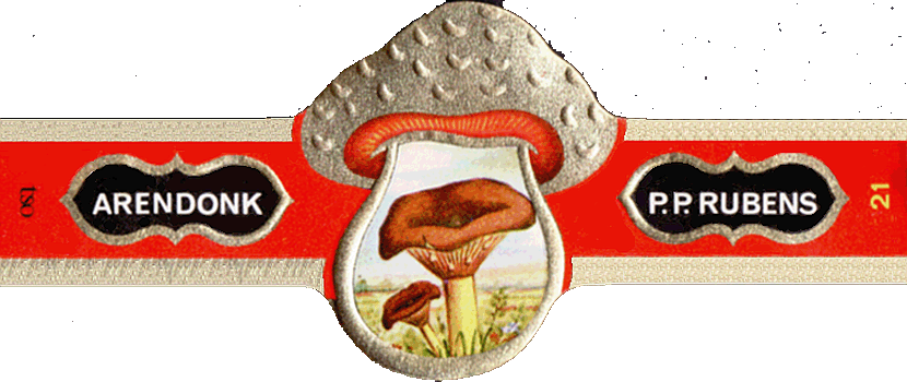 Bauchbinde