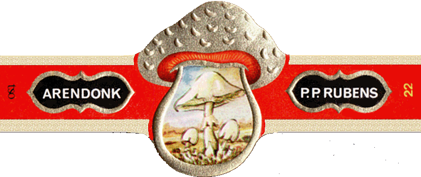 Bauchbinde
