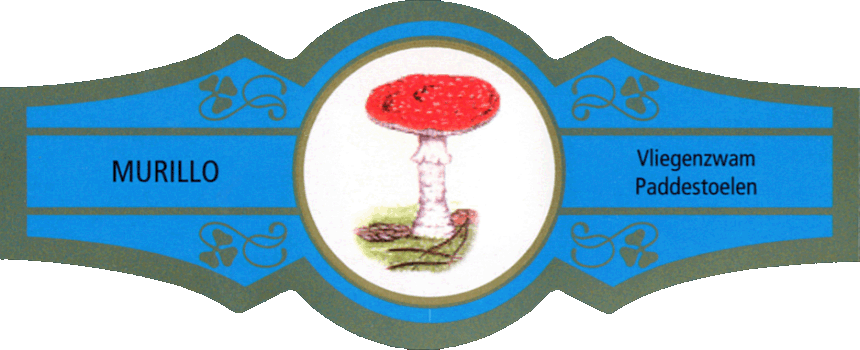 Bauchbinde
