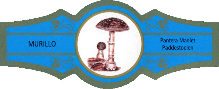 Bauchbinde