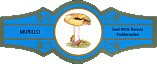 Bauchbinde