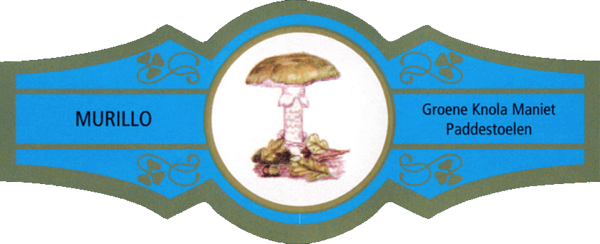 Bauchbinde