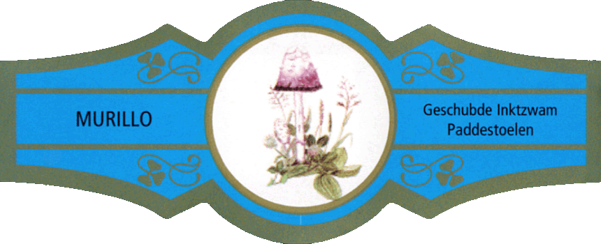 Bauchbinde