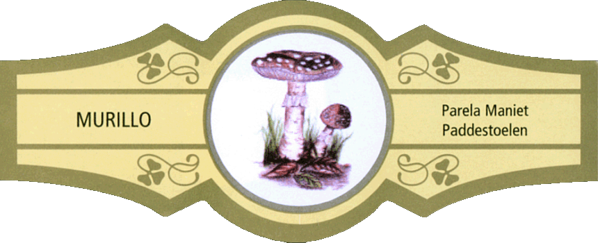 Bauchbinde