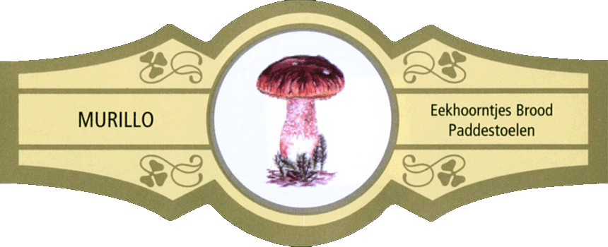 Bauchbinde