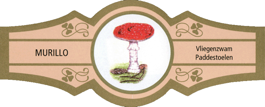 Bauchbinde