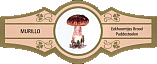 Bauchbinde