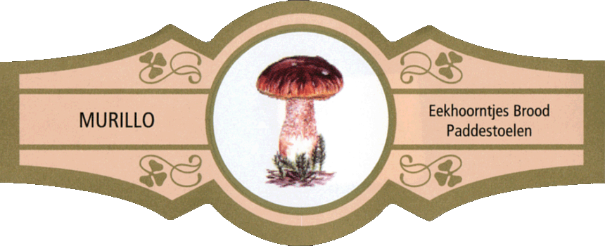 Bauchbinde