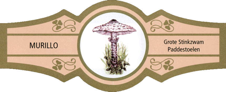 Bauchbinde