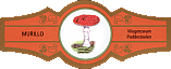 Bauchbinde