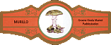 Bauchbinde