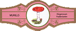 Bauchbinde