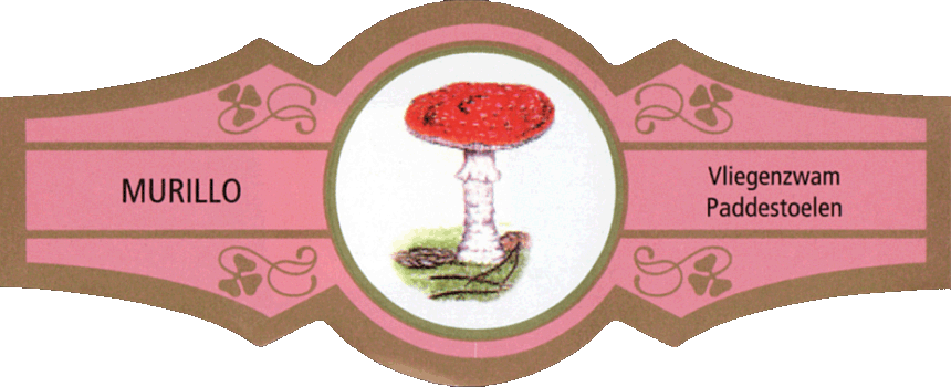 Bauchbinde