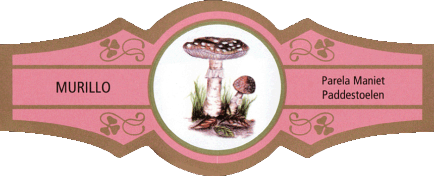 Bauchbinde