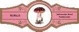 Bauchbinde