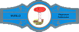Bauchbinde