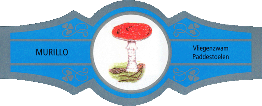 Bauchbinde