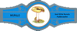 Bauchbinde