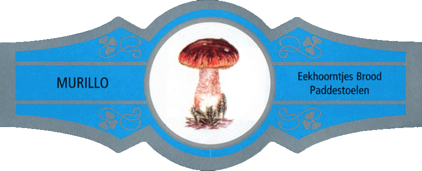 Bauchbinde