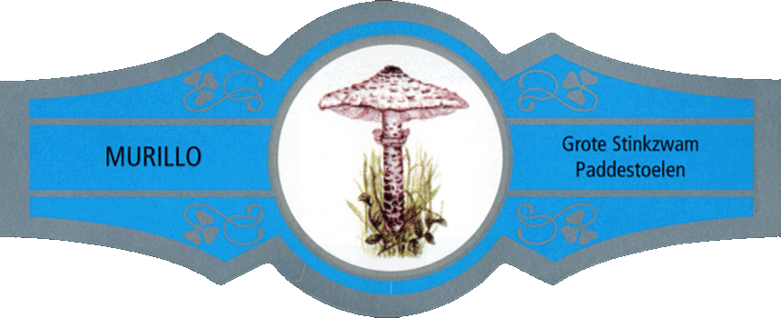 Bauchbinde
