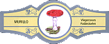 Bauchbinde