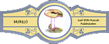 Bauchbinde
