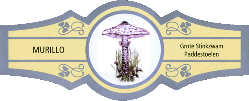 Bauchbinde