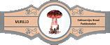 Bauchbinde