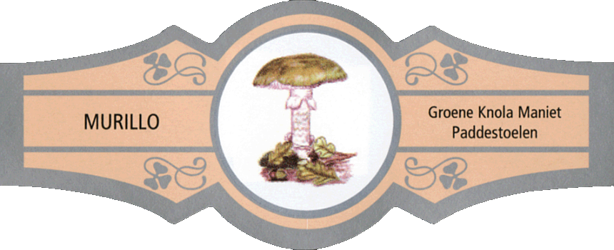 Bauchbinde