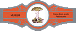 Bauchbinde