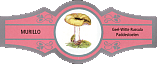 Bauchbinde