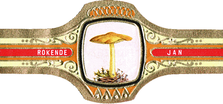 Bauchbinde