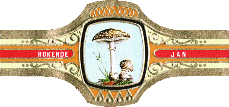 Bauchbinde
